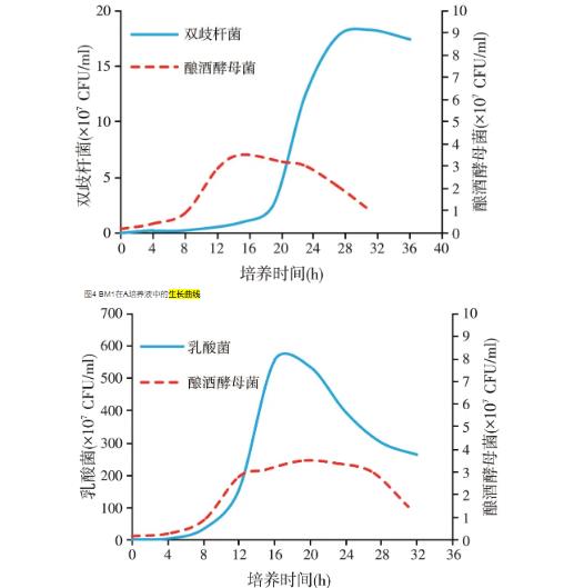 益生菌發(fā)酵葡萄糖酸鈉母液生長(zhǎng)曲線測(cè)定與分析