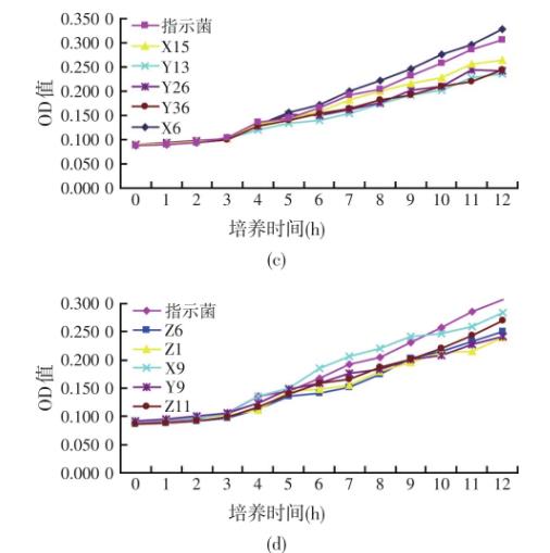 大黃魚病原性哈維氏弧菌在試驗菌發(fā)酵上清液拮抗下的生長曲線