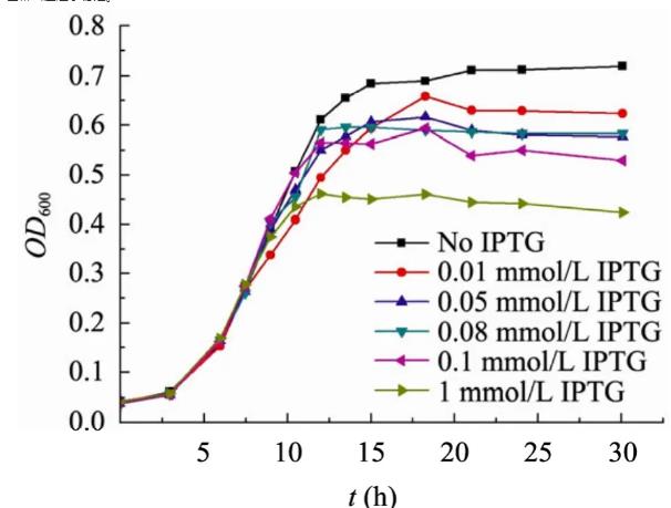 pPopctrl質(zhì)粒轉(zhuǎn)化的大腸桿菌top10F生長與突變規(guī)律