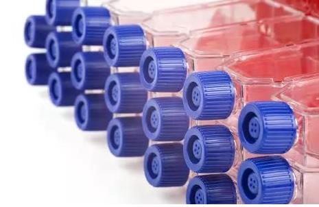 細胞對數(shù)增長期影響因素有哪些