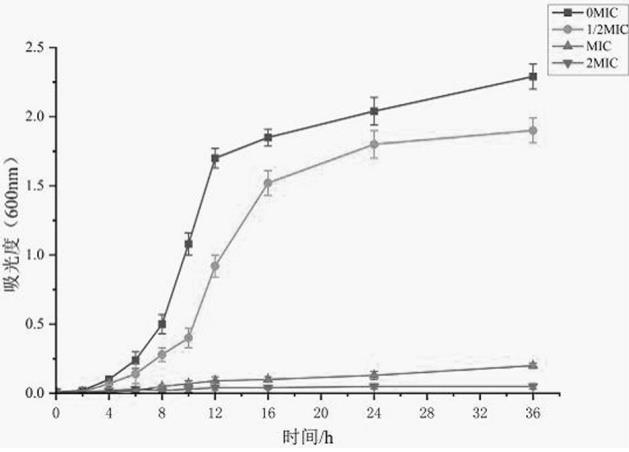 桑酮G對單增李斯特菌生長曲線的影響