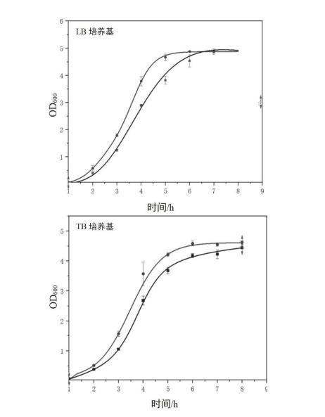 多抗噬菌體菌株大腸桿菌E.coli PRE12在LB培養(yǎng)基和TB培養(yǎng)基下的生長曲線圖