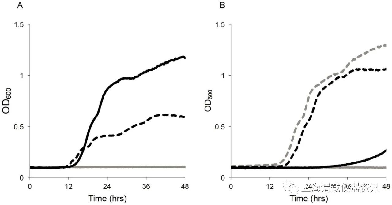 鼠疫桿菌菌株在麥芽糖培養(yǎng)基環(huán)境下對(duì)應(yīng)的生長(zhǎng)曲線圖