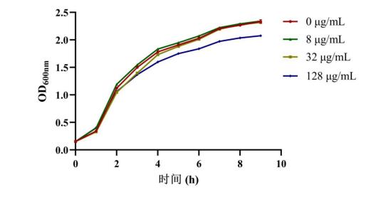 NDM-1酶抑制劑去甲澤拉木醛對(duì)大腸桿菌E.coli ZJ487生長(zhǎng)曲線的影響