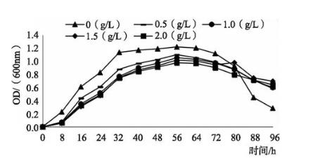 不同濃度的表面活性劑PEG6000、SDS脅迫培養(yǎng)對細(xì)菌生長的影響【上】