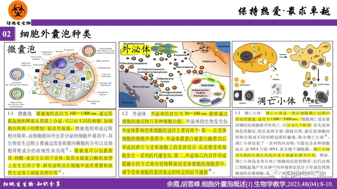 ?細菌外膜囊泡研究、種類及應(yīng)用