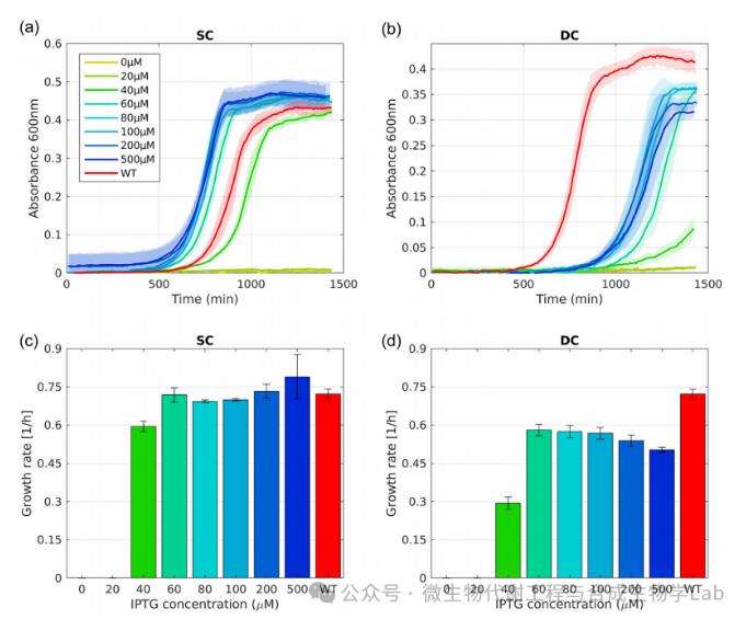 菌株雙控制生長開關(guān)及其應(yīng)用的遺傳穩(wěn)定性（一）