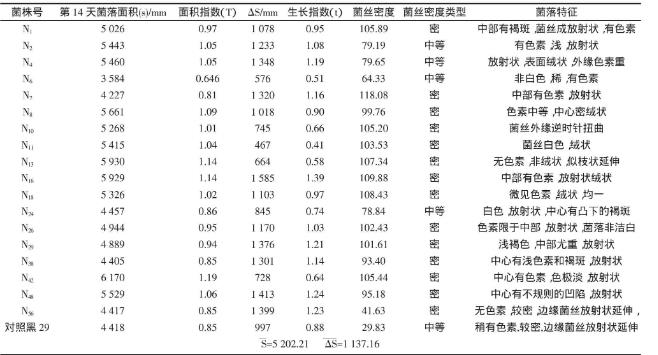 野生黑木耳N56菌株分離純化、菌絲生長速率實驗（一）