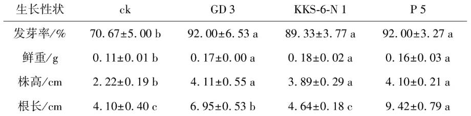 茶樹(shù)根際細(xì)菌菌株P(guān)5菌株對(duì)花生種子的促生機(jī)制