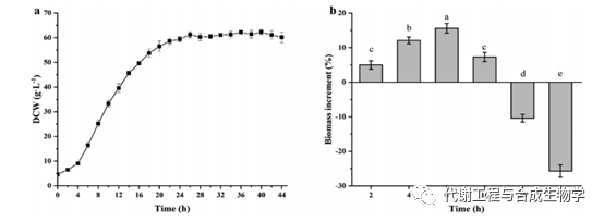 超聲波處理對(duì)谷氨酸棒狀桿菌生長、形態(tài)、通透性的影響