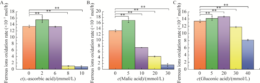 10種有機(jī)物對(duì)氧化亞鐵硫桿菌BYM磁小體生長、合成、發(fā)酵、產(chǎn)量的影響（一）