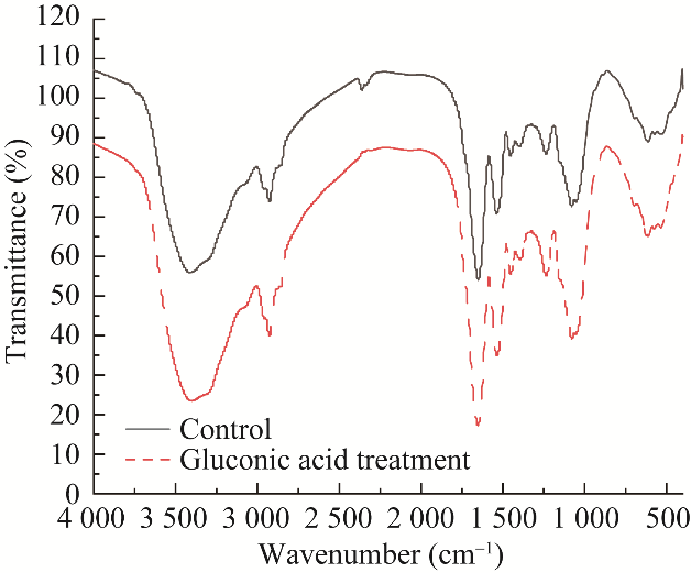 10種有機(jī)物對氧化亞鐵硫桿菌BYM磁小體生長、合成、發(fā)酵、產(chǎn)量的影響（三）
