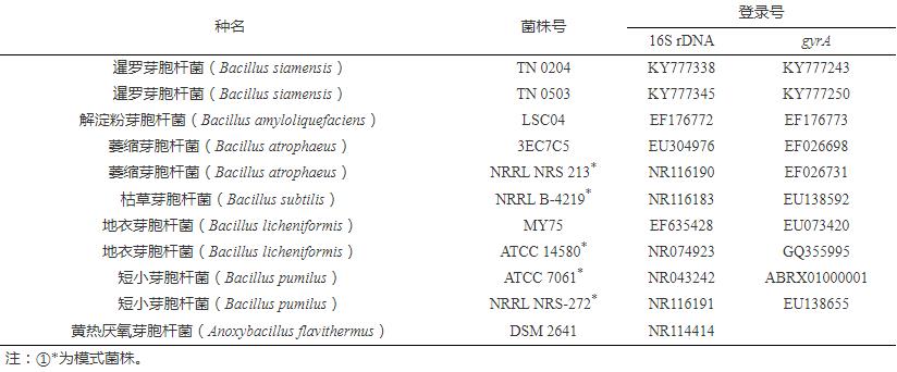拮抗菌生長曲線測定、鑒定及對煙草赤星病室內(nèi)防治效果（一）