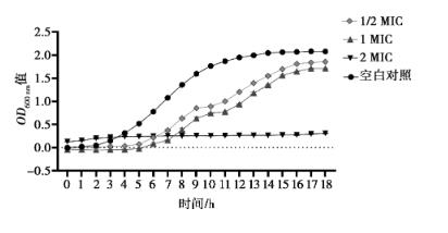 中藥單體組合物綠原酸、黃芩苷、厚樸酚對大腸桿菌生長曲線的影響