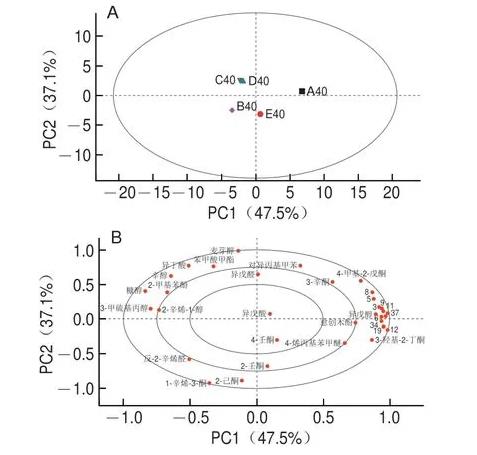 黃豆發(fā)酵工藝：微生物與風味物質(zhì)生成的相關性分析
