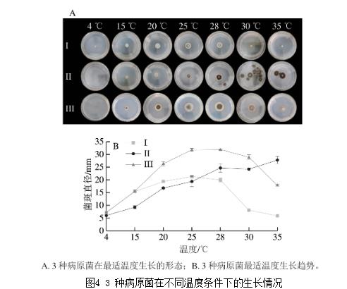25種天然植物精油對藍莓致病菌生長曲線、抑制作用（三） 