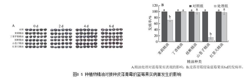 25種天然植物精油對藍莓致病菌生長曲線、抑制作用（四）