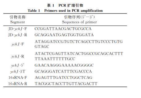 生長曲線測定法和菌落計數(shù)法確定YchJ對鼠傷寒沙門菌抗逆能力的影響——摘要