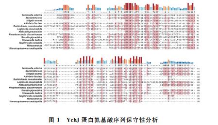 生長曲線測定法和菌落計數(shù)法確定YchJ對鼠傷寒沙門菌抗逆能力的影響——方法
