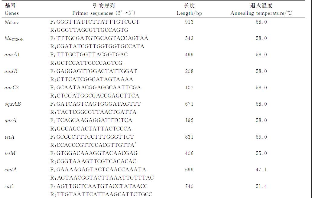 鵪鶉肺炎克雷伯菌血清型鑒定、耐藥性檢測及致病潛力（一）