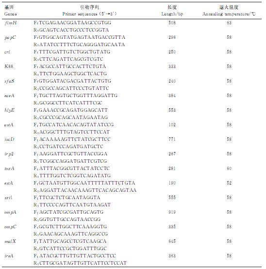 鵪鶉肺炎克雷伯菌血清型鑒定、耐藥性檢測及致病潛力（二）