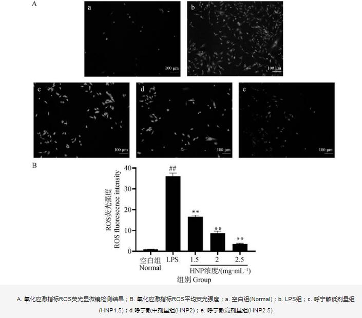 呼寧散對雞肺源大腸桿菌生長曲線、細胞壁的影響及抑制效果——結果