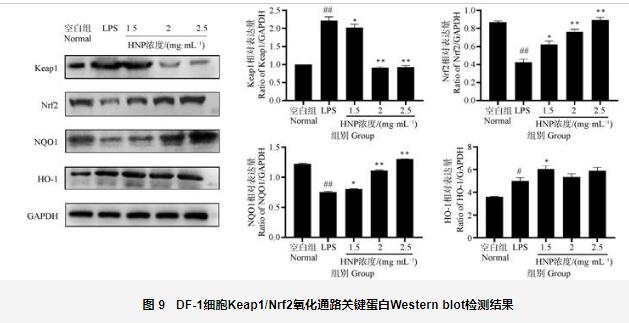 呼寧散對雞肺源大腸桿菌生長曲線、細胞壁的影響及抑制效果——討論、結論