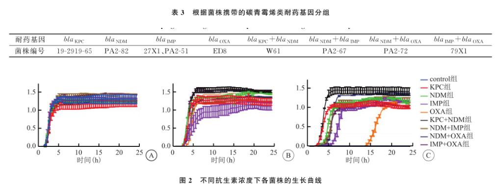 耐碳青霉烯類肺炎克雷伯菌生長(zhǎng)曲線測(cè)定及對(duì)線蟲(chóng)毒力作用（二）