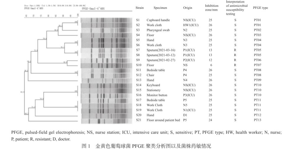 金黃色葡萄球菌PFGE分型、分布特征及藥敏情況（二）