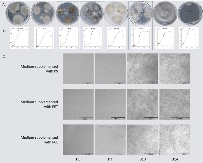 微生物生長(zhǎng)曲線監(jiān)測(cè)系統(tǒng)研究海洋環(huán)境中塑料上真菌群落的定植和生物降解潛力