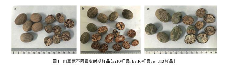 不同霉變時期肉豆蔻飲片需氧菌、霉菌、酵母菌菌落總數(shù)統(tǒng)計（一）