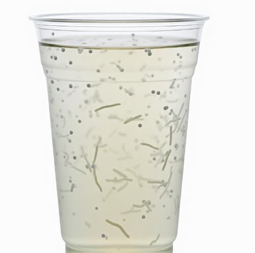 食品飲料加工用無菌化管道評估調(diào)試，也得監(jiān)測細(xì)菌生長曲線？