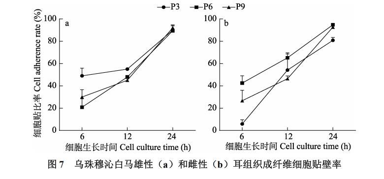 白馬耳組織成纖維細(xì)胞體外培養(yǎng)、冷凍前及復(fù)蘇后存活率、生長(zhǎng)曲線繪制（三）