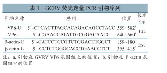 草魚呼腸孤病毒培養(yǎng)與滴度測(cè)定、及在草魚、CIK細(xì)胞上的生長(zhǎng)特性研究（一）