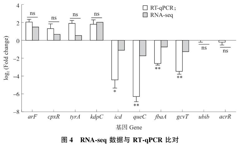 轉(zhuǎn)錄水平解析昆蟲病原線蟲共生菌菌株新型殺菌蛋白PPIA-L20基因表達調(diào)控——結(jié)果與分析