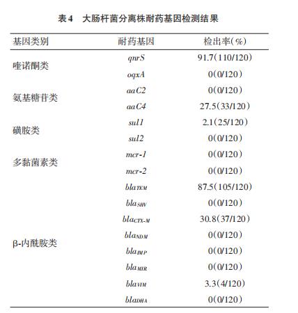 鴿源大腸桿菌分離株對13種抗菌藥物耐藥現(xiàn)狀研究（三）