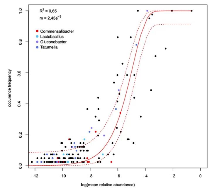 果蠅腸道常見微生物、運動性基因及在宿主中的生態(tài)策略