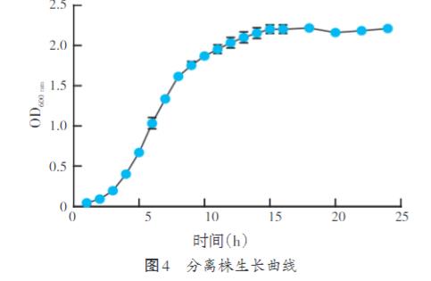 家兔肺支氣管敗血波氏桿菌生長曲線測定及耐藥性研究（三）