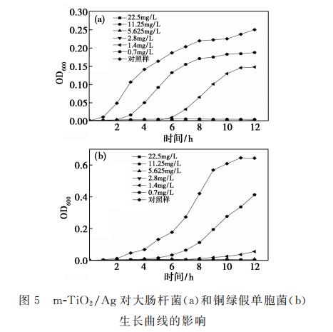 新型納米復合材料介孔m-TiO?/Ag對大腸桿菌和銅綠假單胞菌生長、抑制作用（三）