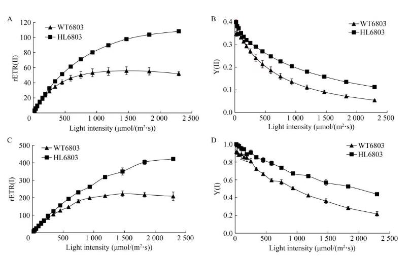 速生集胞藻6803光合放氧速率、生長(zhǎng)曲線及基因組分析（三）