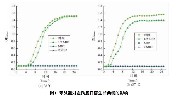苯乳酸對(duì)霍氏腸桿菌生長(zhǎng)曲線、細(xì)胞凋亡、抑制活性、DNA的影響（一）