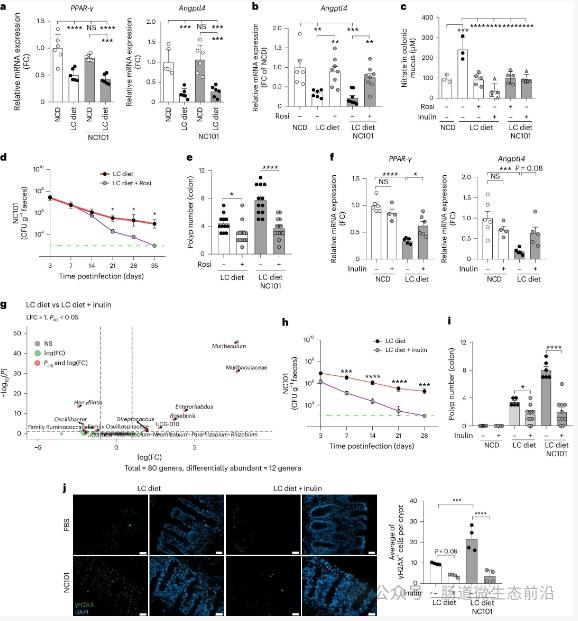 低纖維飲食與pks+大腸桿菌的協(xié)同致癌（CRC）作用