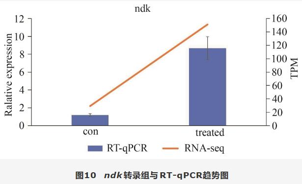 滇黃精水提物促進(jìn)羅伊氏乳桿菌生長增殖和定植的作用機(jī)制（五）