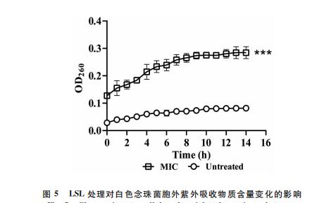 內(nèi)酯型槐糖脂對(duì)白色念珠菌生長(zhǎng)抑制和生物膜形成的影響（三）