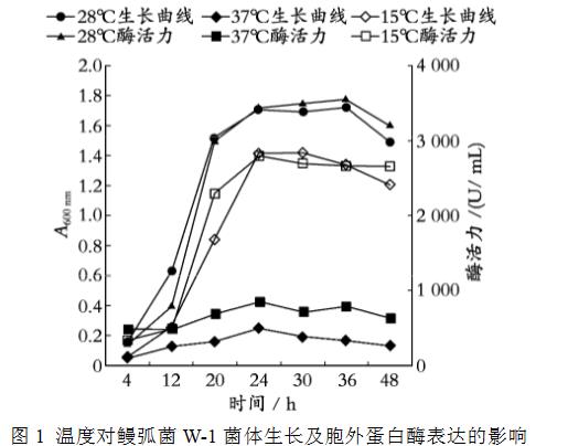 不同溫度下金屬螯合劑對(duì)鰻弧菌生長(zhǎng)曲線的影響（一）